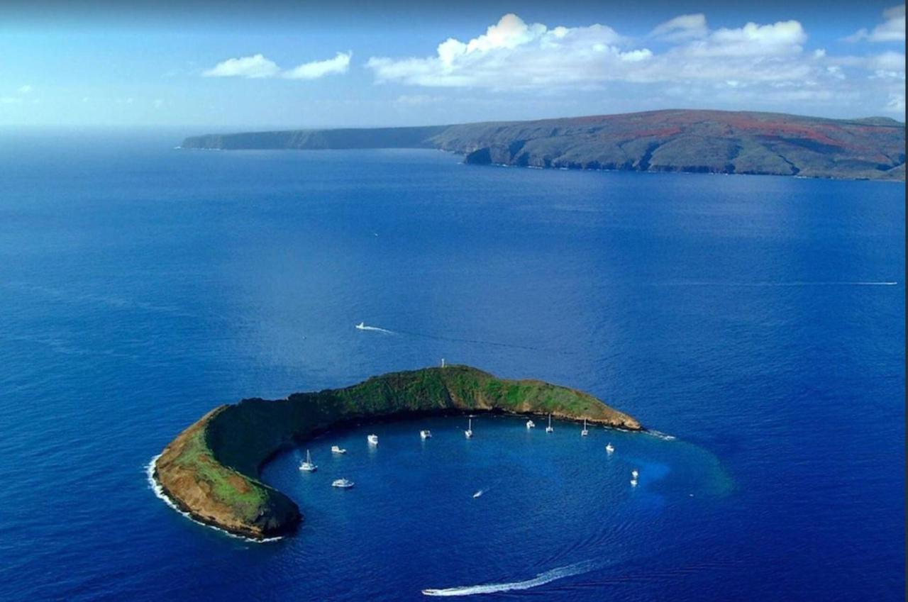 Tropical Maui Kamaole B-Bldg Leilighet Wailea  Eksteriør bilde
