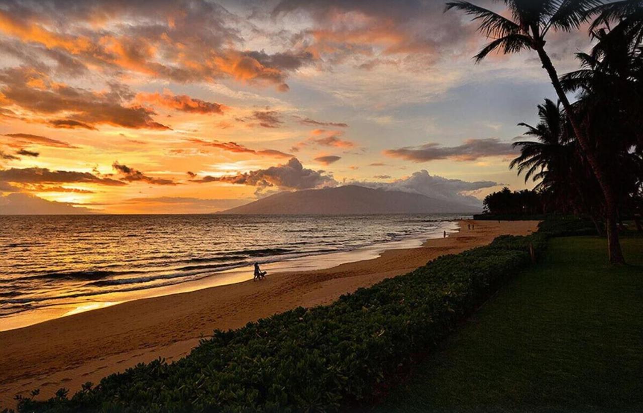 Tropical Maui Kamaole B-Bldg Leilighet Wailea  Eksteriør bilde
