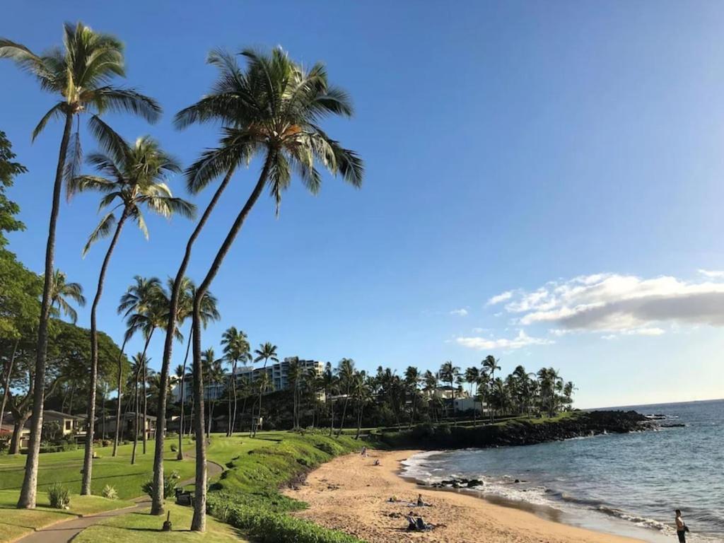 Tropical Maui Kamaole B-Bldg Leilighet Wailea  Eksteriør bilde